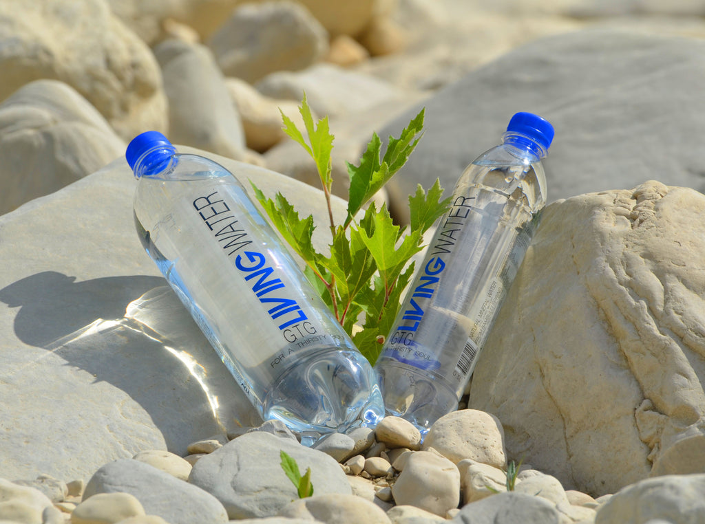 The Role of Premium Bottled Water in Detox Diets and Cleanses